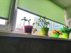 �� ������� ����������� 1�.�-��,��� �������� ����� ��� ������� ������ � ���������� ���� 8