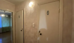 ������ 3� �������� ���� 8