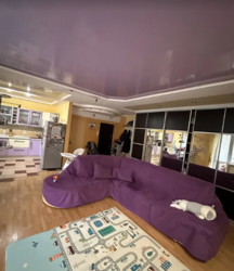 ��������� �������� ���. ������, ³�����, ³�������, ����������, ������ ���� 5