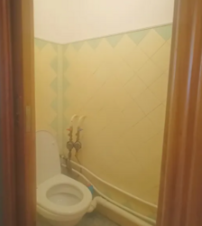 ������ ���� 11