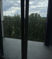 ��������� �������� ���. ����� ���������, 16�, ³�����, ³�������, �������������, ������ ���� 2