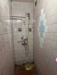 ������ ������ � ���������� ���� 5