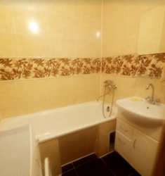 ������ ���� 10