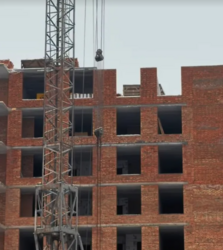 ������ 2� �������� �� FORREST ���� 2