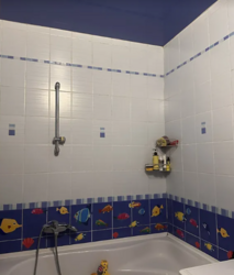 ��������� �������� ���. ������, ³�����, ³�������, ����������, ������ ���� 8