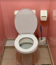 ������ ������ �� ������� ���� 10