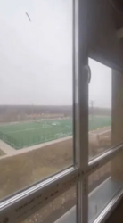 ��������� �������� ����������, ³�����, ³�������, �������������, ��� ���� 4