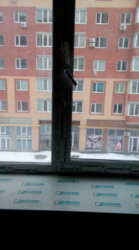 2-� ������� �������� �� ���. ������ ���� 3