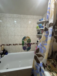 ��������� �������� ��������, ���������, ���������� ���� 11