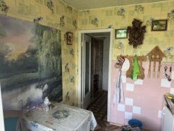 Продається квартира Запоріжжя, Запорізька, Хортицький фото 14 Продається квартира Запоріжжя, Запорізька, Хортицький фото 14