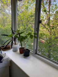 Продається квартира Запоріжжя, Запорізька, Вознесеновський фото 12 Продається квартира Запоріжжя, Запорізька, Вознесеновський фото 12