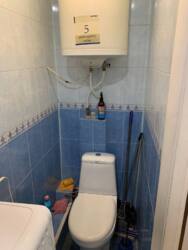 ������, ������ �����-�������� ���� 2