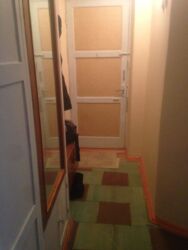 ������ 1 ��� ��������, ����� ����� ���� 6