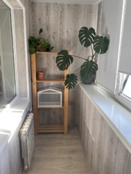 ������ ���������� ��������, ������ ���� 8