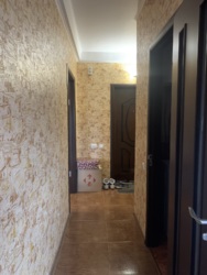 ������ 1-������� ��������, ��������������� ���� 12