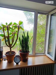 Трикімнатна на Дніпровських порогах фото 13 Трикімнатна на Дніпровських порогах фото 13