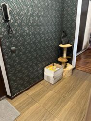 ������ 2 ��� ��������, �-� ����� ������� ���� 5