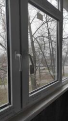 ��������� �������� ����������� ��., 14, ��������, ���������, ���������� ���� 17