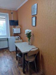 Продається квартира Красная ул., 3, Запоріжжя, Запорізька, Шевченківський фото 13 Продається квартира Красная ул., 3, Запоріжжя, Запорізька, Шевченківський фото 13