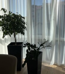 Продається квартира Тернопіль, Тернопільська фото 3 Продається квартира Тернопіль, Тернопільська фото 3