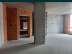 ��������� �������� �����, ��������, ������������, ��� ���� 3