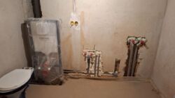 ��������� �������� ������, 3�, ��������, ������������, ϳ������� ���� 5