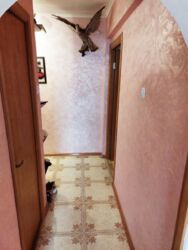 Продається квартира Героїв Крут, 7, Тернопіль, Тернопільська, Східний масив фото 2 Продається квартира Героїв Крут, 7, Тернопіль, Тернопільська, Східний масив фото 2