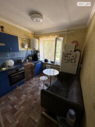 ��������� �������� ������� �. ��., ��������, ������������, ������� ����� ���� 15