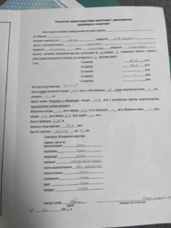 ��������� �������� �������, ��������, ������������, ������ ���� 19