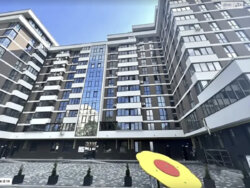 ��������� �������� ���� ���., ��������, ������������, ������ ���� 15