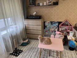 Продається квартира Транспортна вул., Тернопіль, Тернопільська, Новий Світ фото 2 Продається квартира Транспортна вул., Тернопіль, Тернопільська, Новий Світ фото 2