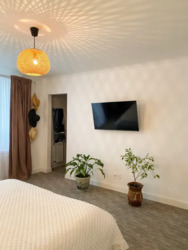 ��������� �������� ��������, ������������ ���� 19