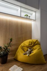 ��������� �������� ����������� ����� ���., ��������, ������������, ����� ���� 12