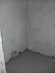 ��������� �������� ������, ��������, ������������, ϳ������� ���� 12