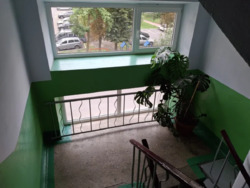 ��������� �������� ������������, ��������, ������������, ��� ���� 3