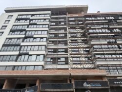 ��������� �������� ������������, ��������, ������������, ��� ���� 1