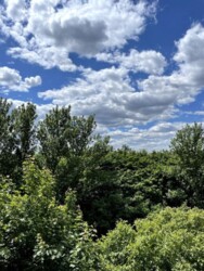 ��������� �������� ��������, ������������ ���� 2