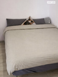 ��������� �������� �������� �. ���., ��������, ������������, ������� ����� ���� 7