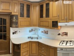 ��������� �������� ĳ���� ���., ��������, ������������, ����� ��� ���� 8