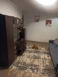 ��������� �������� ����, ��������, ������������, ������ ���� 1