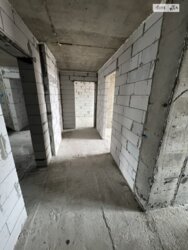 ��������� �������� ������������ �. ���.(̺����������), ��������, ������������, ������� ����� ���� 13