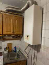 ��������� �������� �������� �. ���., 5, ��������, ������������, ������� ����� ���� 12