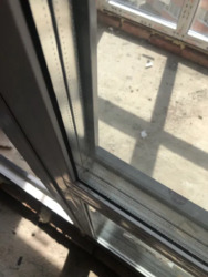 ��������� �������� ����� ���������� ���., ��������, ������������, ����� ��� ���� 12