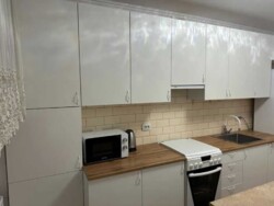 ��������� �������� ��������, ������������ ���� 3