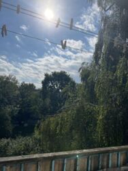 ��������� �������� ��� ������� ���., ��������, ������������, ������� ����� ���� 9