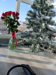 ��������� �������� ������������ ���., ��������, ������������, ���������� ���� 2