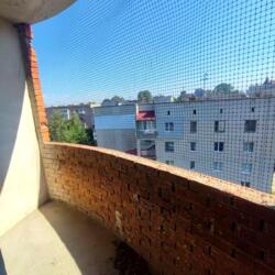 ��������� �������� ����������� ���., ��������, ������������, ������� ���� 9