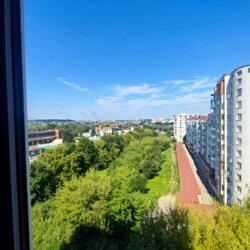 ��������� �������� ����������� ���., ��������, ������������, ������� ���� 12