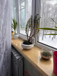 Продається квартира Слівенська вул., Тернопіль, Тернопільська, Східний масив фото 7 Продається квартира Слівенська вул., Тернопіль, Тернопільська, Східний масив фото 7