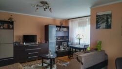 ��������� �������� ��������, ������������, ������� ����� ���� 12